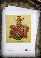 velin-d-Arches-HAAG_Wappenbuch der Stadt Basel . B.Meyer Knaus 1880_Schweiz