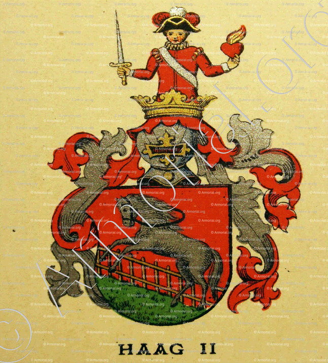 HAAG_Wappenbuch der Stadt Basel . B.Meyer Knaus 1880_Schweiz