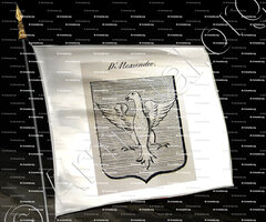 drapeau-d'ALEXANDRE_Auvergne_France (i)b