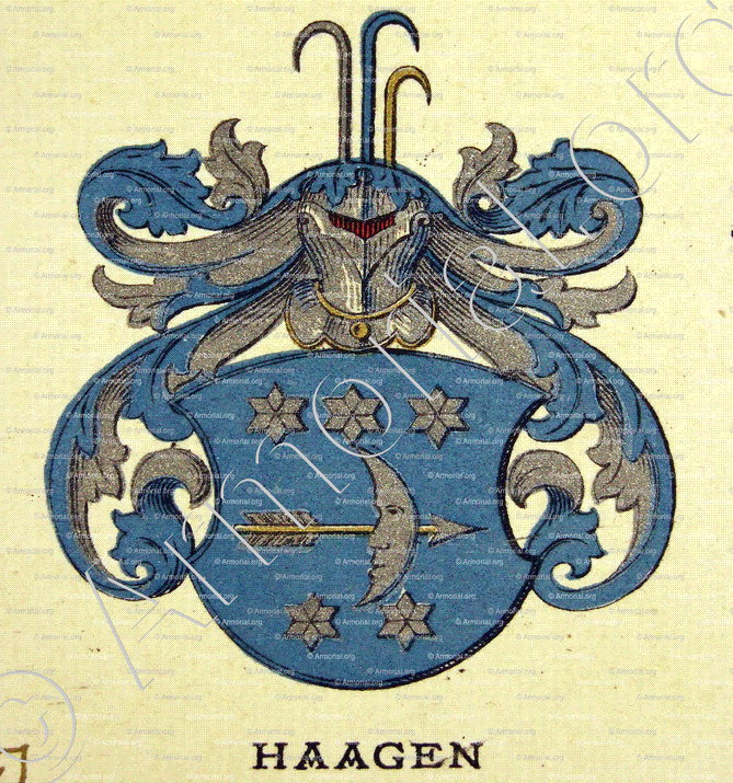 HAAGEN_Wappenbuch der Stadt Basel . B.Meyer Knaus 1880_Schweiz