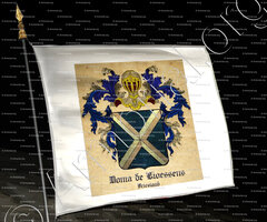 drapeau-DOMA de LIOESSENS_Friesland_Nederland