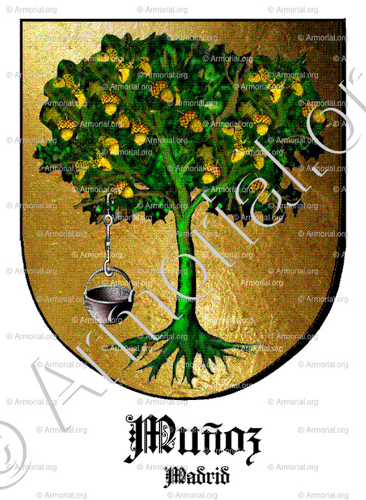 MUÑOZ_Madrid_España (i)