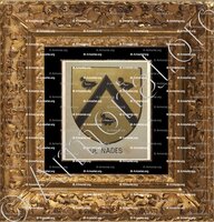 cadre-ancien-or-de NADES_Bourbonnais_France