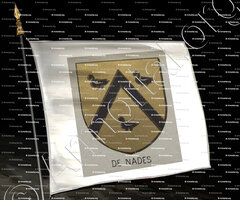 drapeau-de NADES_Bourbonnais_France