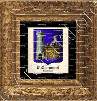 cadre-ancien-or-d'ESMONNET_Bourbonnais_France (1)