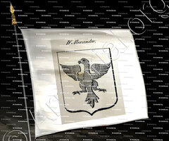 drapeau-d'ALEXANDRE_Auvergne_France (ii)b
