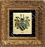 cadre-ancien-or-HAAS_Wappenbuch der Stadt Basel . B.Meyer Knaus 1880_Schweiz