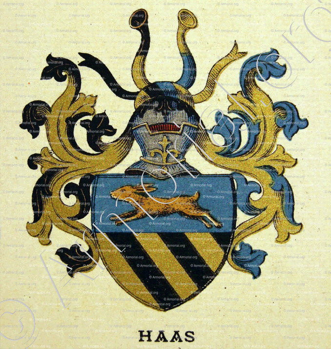 HAAS_Wappenbuch der Stadt Basel . B.Meyer Knaus 1880_Schweiz