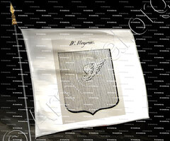 drapeau-d'ALEYRAC_Auvergne_France (ii)
