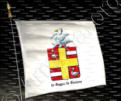 drapeau-de COPPIN de CONJOUX_Namur, Bruxelles._Belgique.