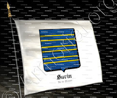 drapeau-SURIN_Île-de-France_France (3)