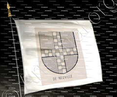 drapeau-de NEUVILLE_Bourbonnais_France (6)+