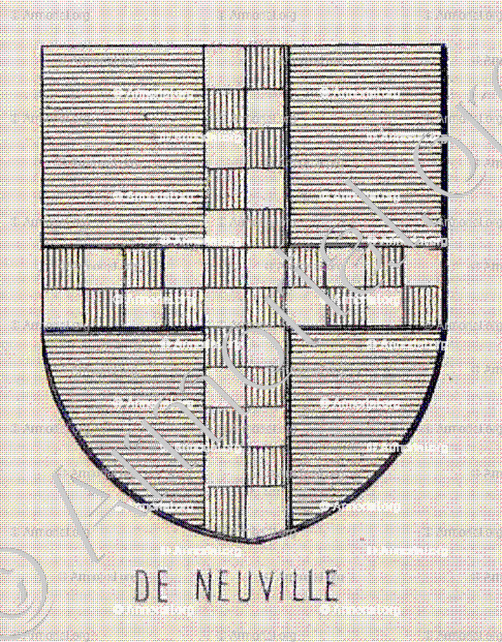 de NEUVILLE_Bourbonnais_France (6)+