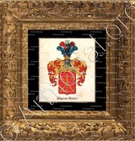 cadre-ancien-or-CHYSOW-ROMER_Erbländ_Österreichischen Monarchie