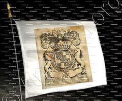 drapeau-de COMINGES_Pays de Saumur._France (1)