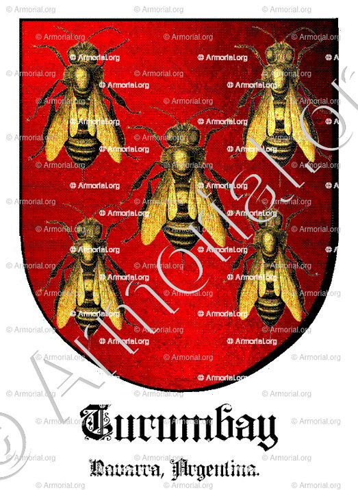 TURUMBAY_Navarra, Argentina_España, Argentina (i)