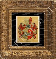 cadre-ancien-or-HAERING_Wappenbuch der Stadt Basel . B.Meyer Knaus 1880_Schweiz