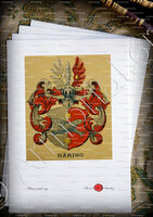 velin-d-Arches-HAERING_Wappenbuch der Stadt Basel . B.Meyer Knaus 1880_Schweiz