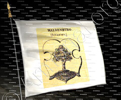 drapeau-WALDENBURG_Schiessen_Deutschland