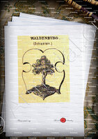 velin-d-Arches-WALDENBURG_Schiessen_Deutschland