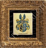 cadre-ancien-or-HÄFELFINGER_Wappenbuch der Stadt Basel . B.Meyer Knaus 1880_Schweiz