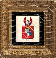 cadre-ancien-or-HOOFT_Armorial royal des Pays-Bas_Europe