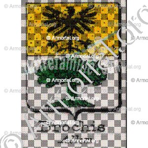 Brochis
