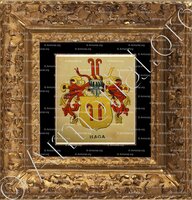 cadre-ancien-or-HAGA_Wappenbuch der Stadt Basel . B.Meyer Knaus 1880_Schweiz