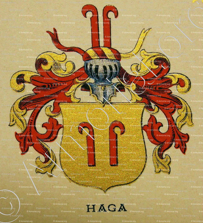 HAGA_Wappenbuch der Stadt Basel . B.Meyer Knaus 1880_Schweiz