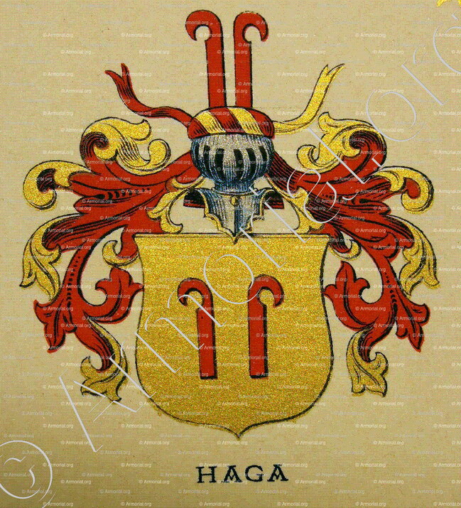 HAGA_Wappenbuch der Stadt Basel . B.Meyer Knaus 1880_Schweiz