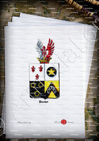 velin-d-Arches-HUENS_Armorial royal des Pays-Bas_Europe