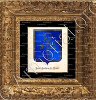 cadre-ancien-or-SAINT-GUILHEM-LE DESERT_blason de la citée_France (0)