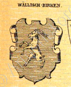 WALLISCH-BIRKEN