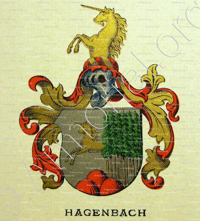HAGENBACH_Wappenbuch der Stadt Basel . B.Meyer Knaus 1880_Schweiz