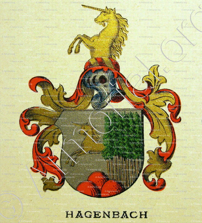 HAGENBACH_Wappenbuch der Stadt Basel . B.Meyer Knaus 1880_Schweiz