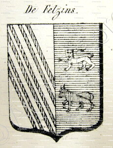 De FELZINS