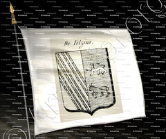 drapeau-De FELZINS_Auvergne_France (ii)