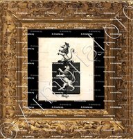 cadre-ancien-or-HUGO_Armorial royal des Pays-Bas_Europe