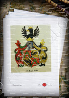 velin-d-Arches-HALLER_Wappenbuch der Stadt Basel . B.Meyer Knaus 1880_Schweiz