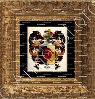 cadre-ancien-or-DRACHE_Sachsen_Deutschland (ii)