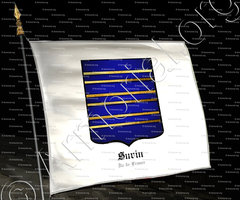 drapeau-SURIN_Île-de-France_France (2)