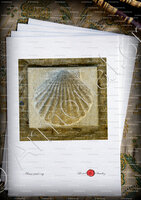 velin-d-Arches-COQUILLE SAINT-JACQUES de COMPOSTELLE_Chemin, Saint-Guilhem-Le-Désert (Languedoc._France