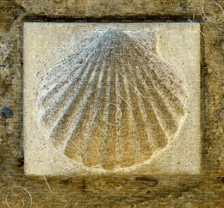 COQUILLE SAINT-JACQUES de COMPOSTELLE_Chemin, Saint-Guilhem-Le-Désert (Languedoc._France