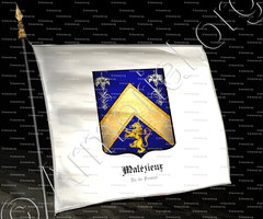 drapeau-MALÉZIEUX_Île-de-France_France (2)