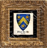 cadre-ancien-or-ADAM des IFS_Normandie_France (i)