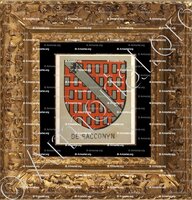 cadre-ancien-or-de SACCONYN_Bourbonnais_France