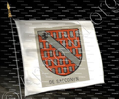 drapeau-de SACCONYN_Bourbonnais_France