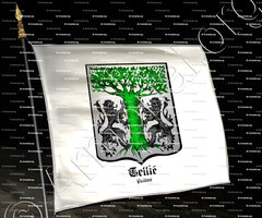 drapeau-TEILLÉ_Poitou_France (1)