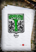 velin-d-Arches-TEILLÉ_Poitou_France (1)