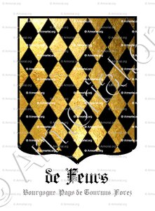 De FEURS (Bourgogne Pays de Tournus Forez)